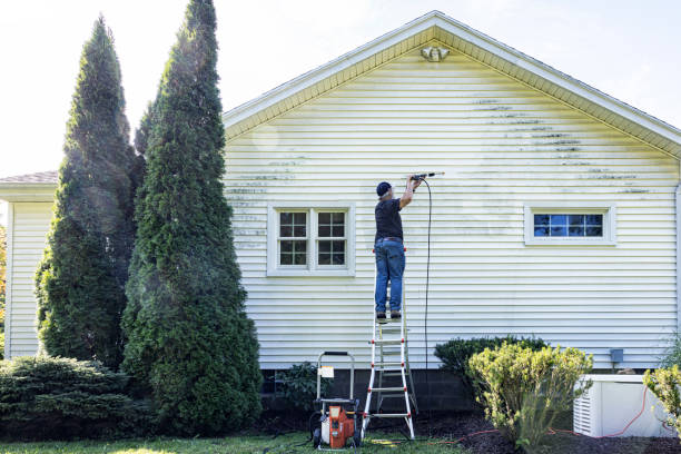 Pre-Holiday Cleaning in North Yelm, WA